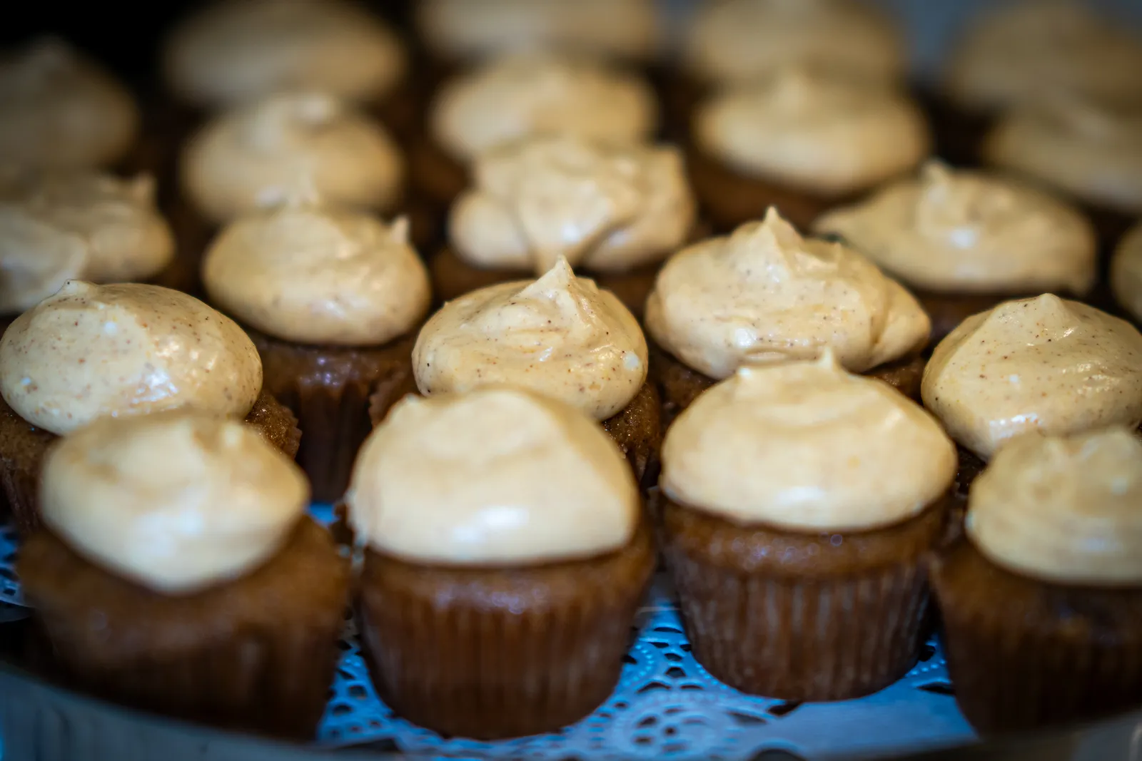 Frosted cupcakes